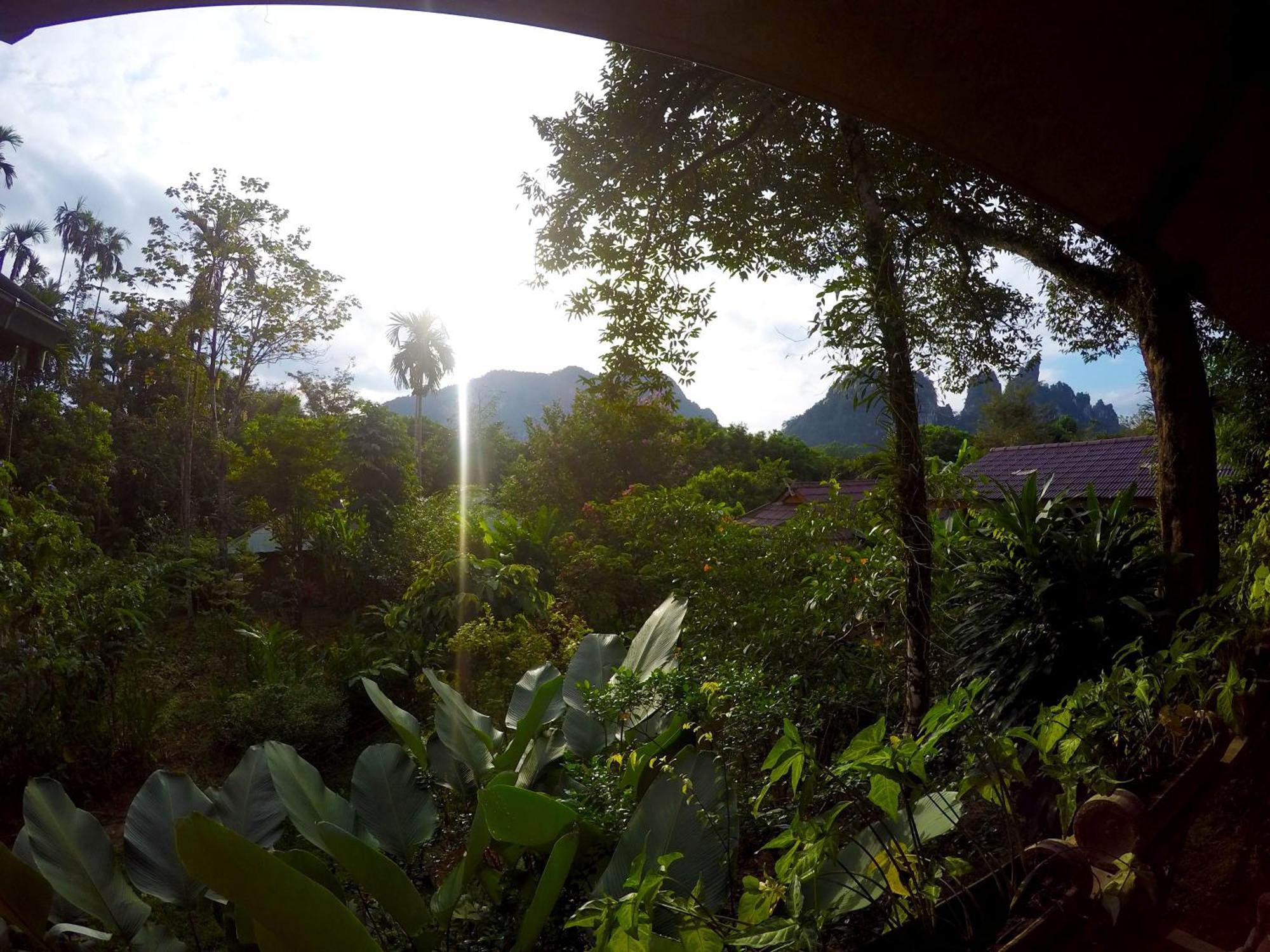 Khao Sok National Park Khao Sok Morning Mist Resort מראה חיצוני תמונה