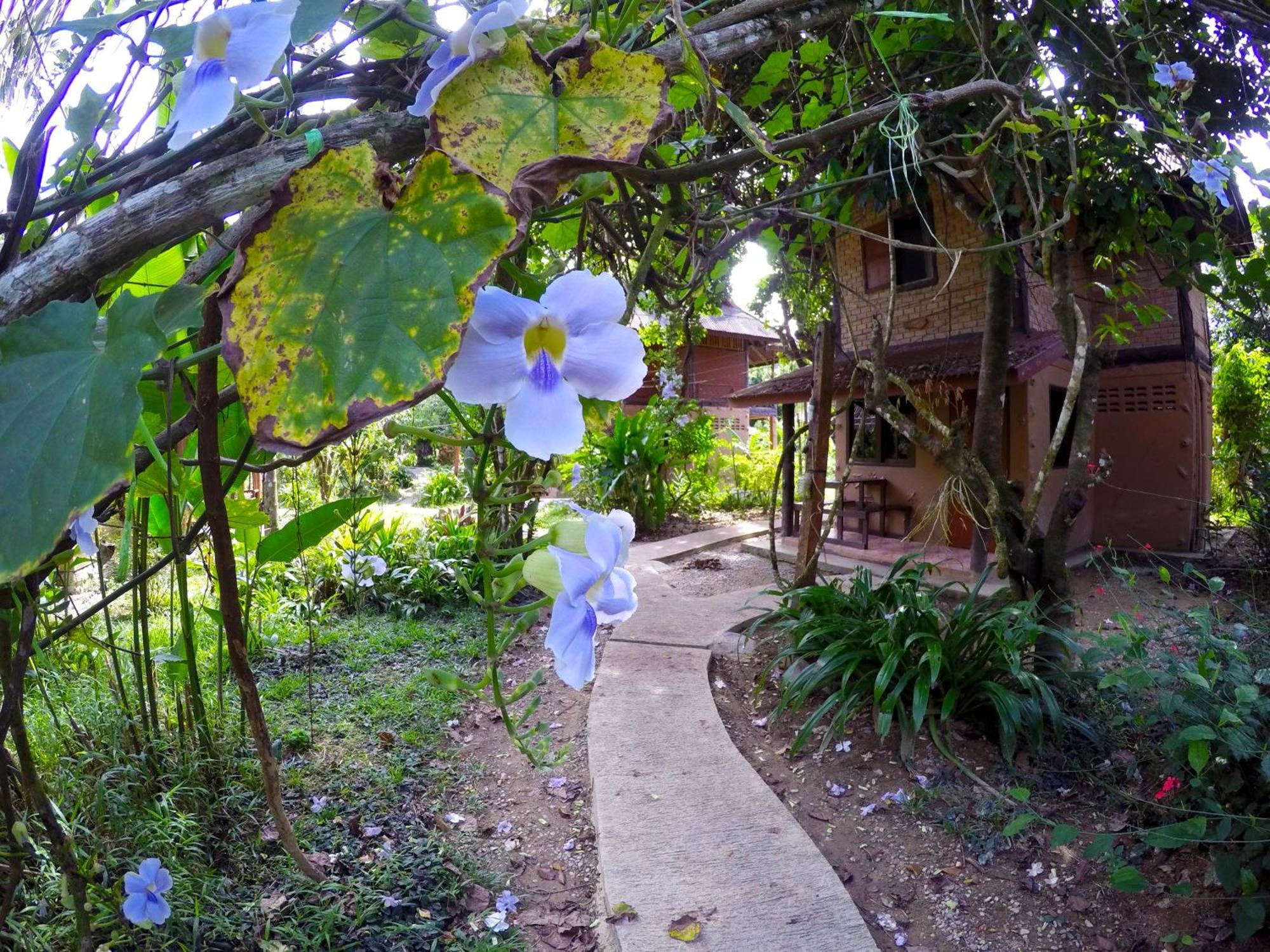 Khao Sok National Park Khao Sok Morning Mist Resort מראה חיצוני תמונה